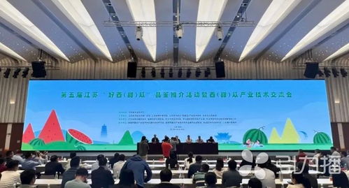 苏州西瓜全省摘金 全市约种植1.6万亩