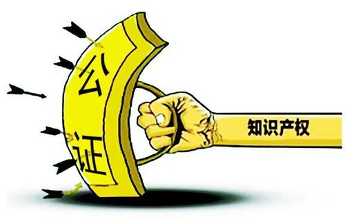 证据固定不再愁，天津公证解烦忧——技术推广服务助力企业创新发展